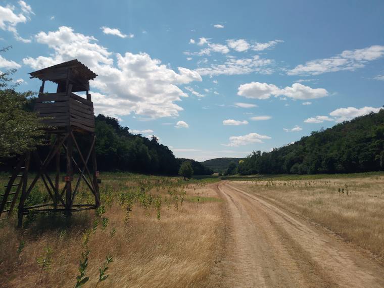 Vadles a völgyi út mellett